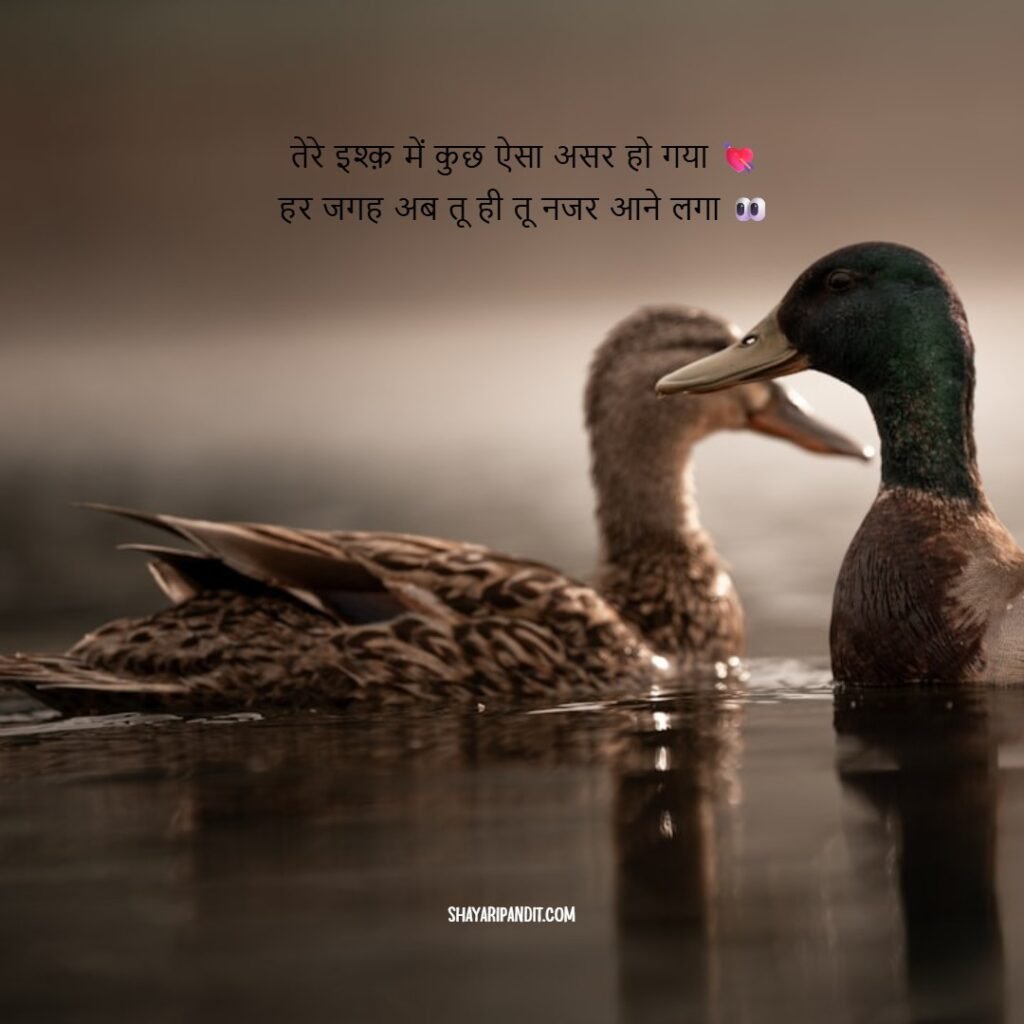 Mohabbat Shayari Pyar Bhari 