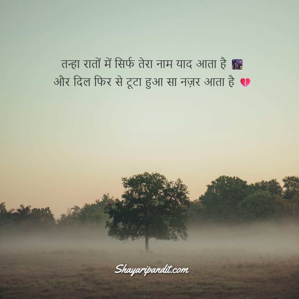 Tanhai Shayari (Copy, Paste)